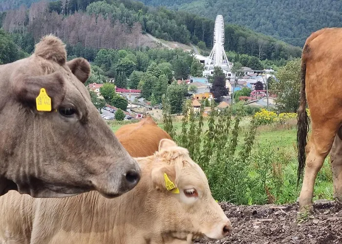 Ferienhaus mit Ausblick