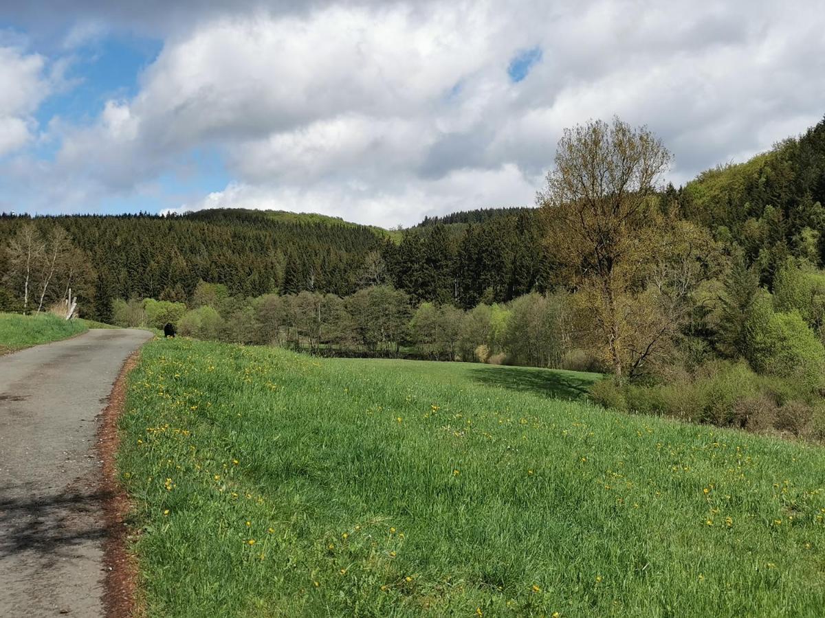 Mit Ausblick Casa vacanze