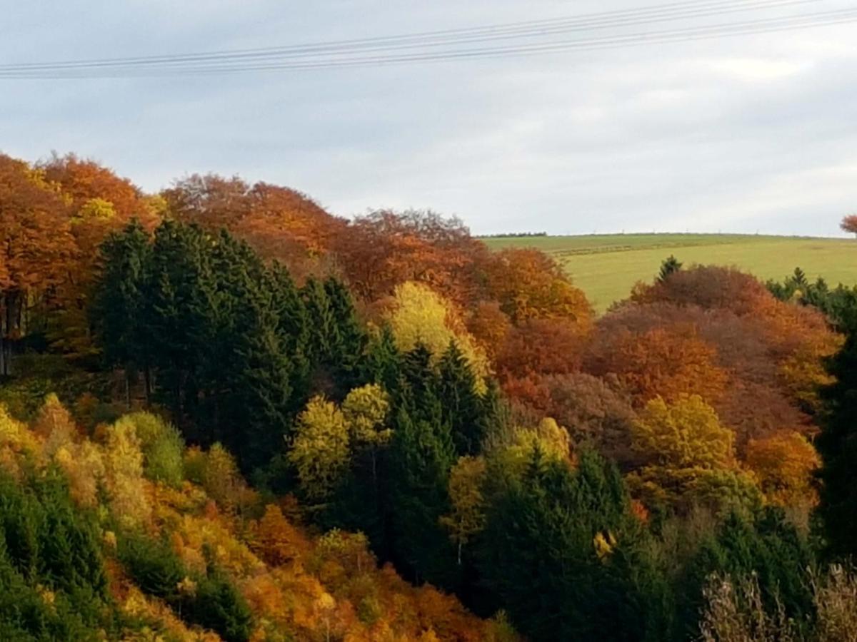Mit Ausblick