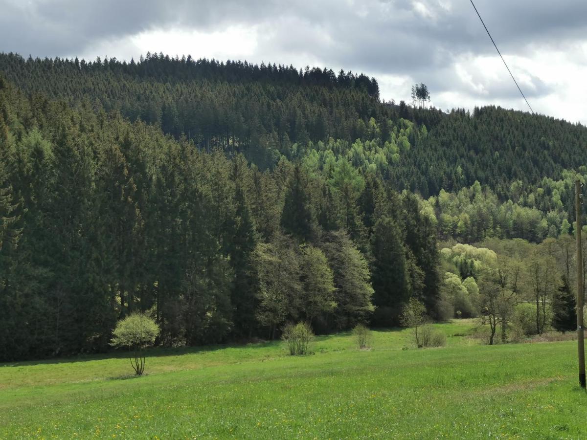 Mit Ausblick